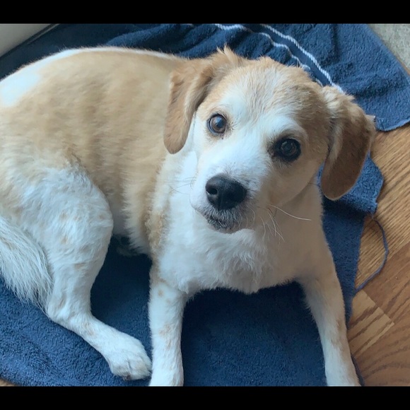 Profile Picture of Alanna Pogachnik (@pogcloset1128) on Poshmark