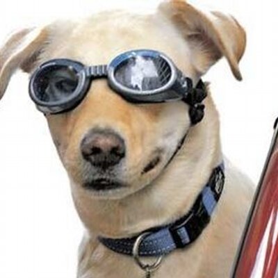 Profile Picture of Said Aaron (@AaronSaidWhat) on Twitter