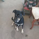 Profile Picture of Christopher Allen (@Christopher-Allen) on Facebook