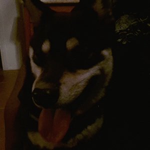 Profile Picture of Von Gibson (@quan.gibson.7) on Myspace