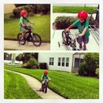 Profile Picture of Marilyn Terry (@liventryho) on Instagram