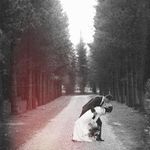 Profile Picture of Stephen Bithell (@stephen_bithell) on Instagram