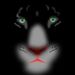 Profile Picture of Jim Sindoni (@jamessindoni1) on Pinterest