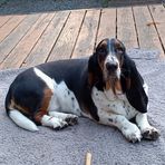 David Ficken - Facebook Profile Picture of David Ficken (@David-Ficken) on Facebook