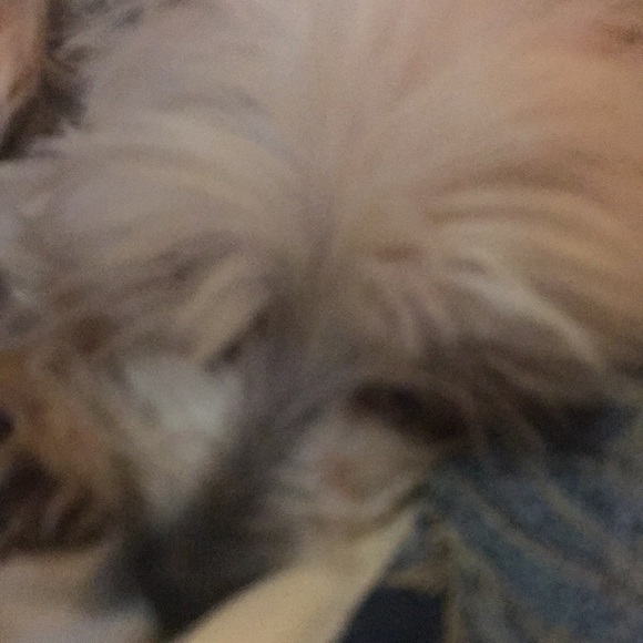 Profile Picture of Jack Franklin (@franklinjack27) on Poshmark