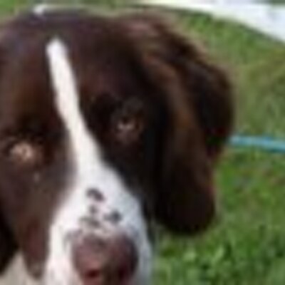 Profile Picture of Luc (@luc_dam) on Twitter