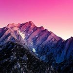 Profile Picture of wilton lawrence (@wiltonlawrence2) on Instagram