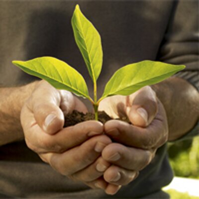 Profile Picture of Bianca Conrad (@Chewbakka_Test) on Twitter