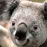 Profile Picture of Brian Helm (@@brianhelm5) on Tiktok