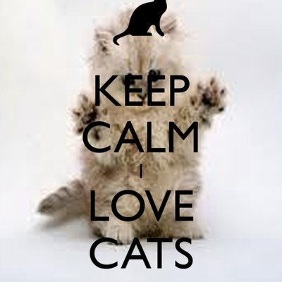 Profile Picture of Sarah (@sarah_kayseas12) on Twitter