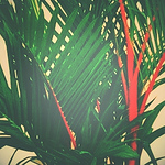 Profile Picture of Zaxdoo71 (@zaxdoo71) on Flickr