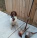 Profile Picture of Tom Stepp (@tom.stepp.716) on Facebook