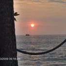 Profile Picture of Renee Watkins Meyer (@altoidmini) on Pinterest