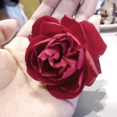 Profile Picture of Hansa Singh (@HansaSi74057411) on Twitter