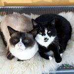 Profile Picture of Maria.Pfeifer (@maria.pfeifer7464) on Instagram