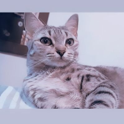 Profile Picture of Bianca (@BianNieto17) on Twitter