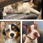 Profile Picture of Randy Dimicelli (@randydimicelli) on Instagram