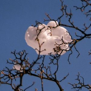 Profile Picture of Malcolm Fisher (@332945359) on Myspace