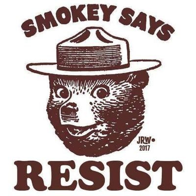 Profile Picture of Christopher Haskell (@damnitdamnit) on Twitter