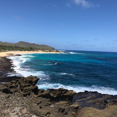 Profile Picture of Joel Kellogg (@kellogg_joel) on Twitter