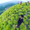 Profile Picture of Chandra Willy (@@chandrawilly) on Tiktok