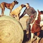 Profile Picture of Tim Busch (@busch7631) on Instagram