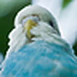 Profile Picture of Cjedmonds56 (@cjedmonds56) on Flickr