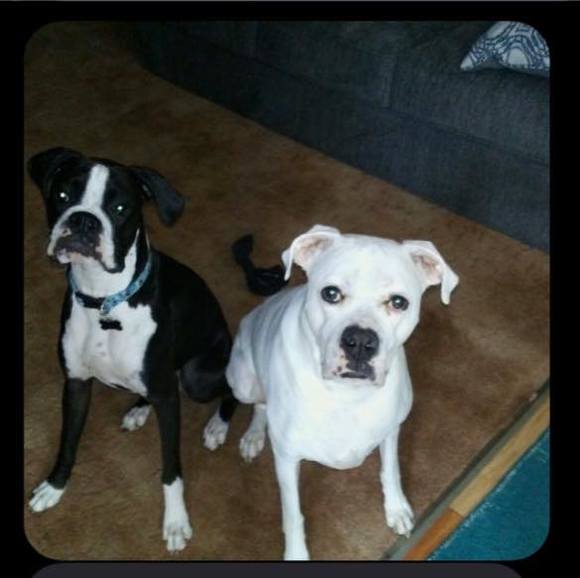 Profile Picture of Josh Jakub (@joshjakub) on Poshmark