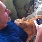 Profile Picture of Stephen Kubala (@Stephen-Kubala) on Facebook