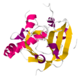Profile Picture of Sortaseon Wikipedia
