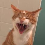 Profile Picture of matisoonnn (@matisoonnn) on Instagram
