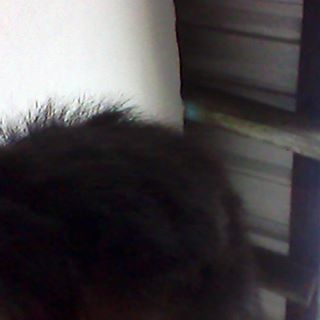 Profile Picture of Luis Adolfo (@luis.adolfo.3720190) on Facebook