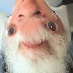 Profile Picture of Charley Botterill (@smelk711) on Instagram