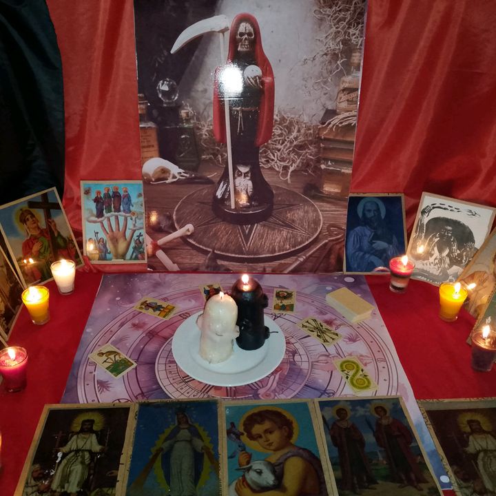 Profile Picture of 🍀Scroggins del Tarot☘️ (@maestro_scroggins) on Tiktok