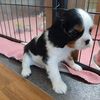 Profile Picture of Kevin Bartel (@@kevinbartel2) on Tiktok