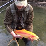 Profile Picture of Blake McNew (@blakehm6) on Instagram