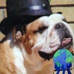 Bob Haagsma - Instagram Profile Picture of Bob Haagsma (@bobhaagsma) on Instagram