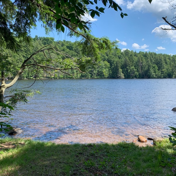 Profile Picture of Bridget Beldock (@beldock94) on Poshmark