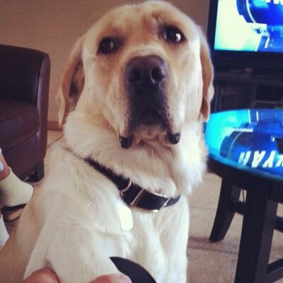 Profile Picture of Chad Castillo (@ChadCastillo) on Twitter