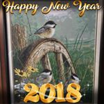 Profile Picture of Pam Ezell Hurst (@pamezellhurst) on Instagram