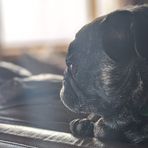 Profile Picture of Gavin McClelland (@gavin.mcclelland.77) on Facebook