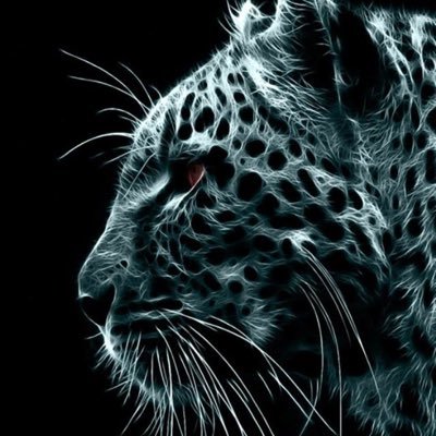 Profile Picture of Nathan Polefko (@NathanP165) on Twitter