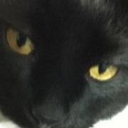 Profile Picture of Scott Konop (@zonefour) on Pinterest