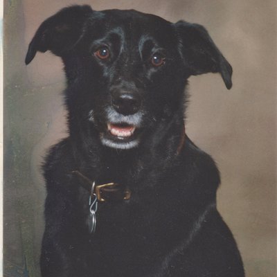 Profile Picture of Bob Erling (@ErlingBob) on Twitter