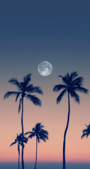 Profile Picture of Kevin Kato (@kevinxwy) on Poshmark