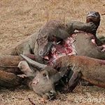 Profile Picture of Everett Hudson (@everetthudson12) on Instagram