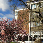 Profile Picture of Dr Challoner's Grammar School (@challoners reconnected) on Flickr