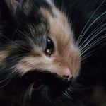Profile Picture of Максим (@john_backlan) on Instagram