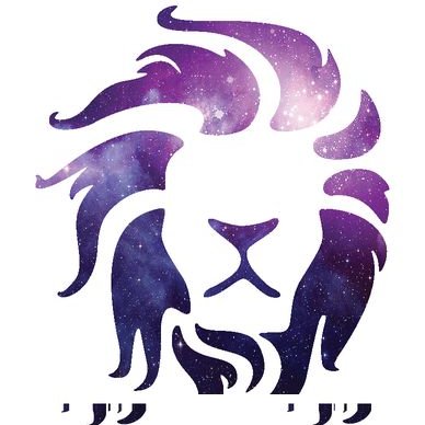 Profile Picture of L (@LeoKong1111) on Twitter