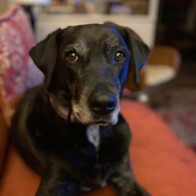 Profile Picture of Steve Seman (@AugustaRoadCo) on Twitter